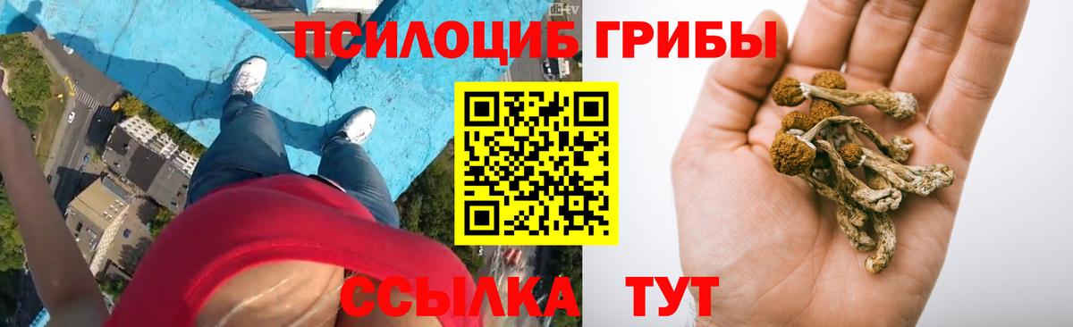 Усть-Илимск  Псилоцибиновые грибы Cubensis  Вход с VPN  наркота  Псилоцибиновые грибы GOLDEN TEACHER 